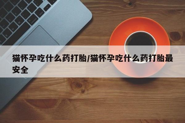打胎药怎么买猫怀孕吃什么药打胎/猫怀孕吃什么药打胎最安全