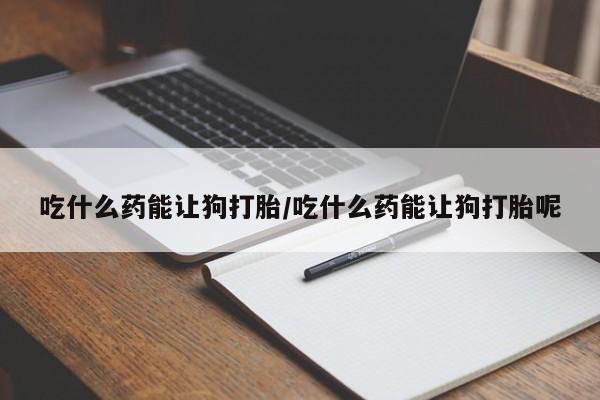 打胎药怎么买吃什么药能让狗打胎/吃什么药能让狗打胎呢
