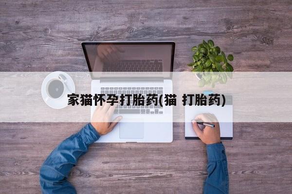 打胎药怎么买家猫怀孕打胎药(猫 打胎药)