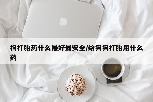 打胎药怎么买狗打胎药什么最好最安全/给狗狗打胎用什么药